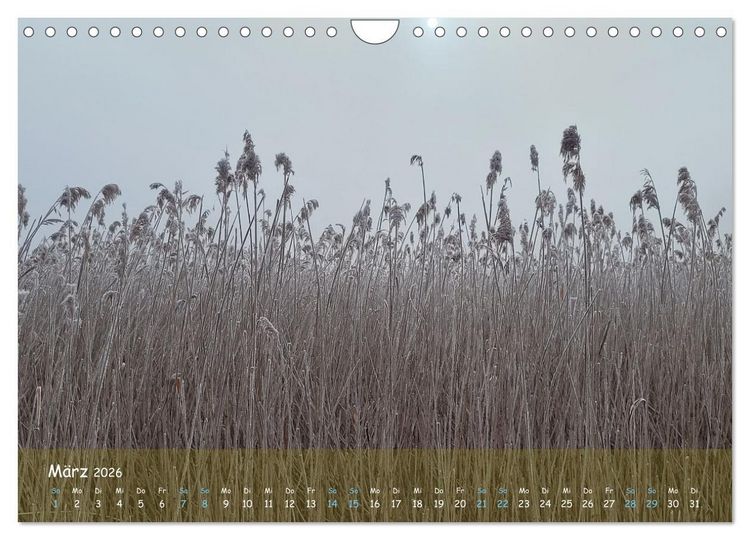 Produktbild: Moortr&auml;ume - Natursch&ouml;nheit in Bildern (Wandkalender 2026 DIN A4 quer), CALVENDO Monatskalender
