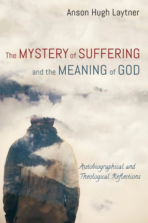 Produktbild: The Mystery of Suffering and the Meaning of God