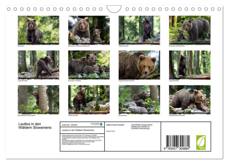 Produktbild: Lautlos in den W&auml;ldern Sloweniens (Wandkalender 2026 DIN A4 quer), CALVENDO Monatskalender