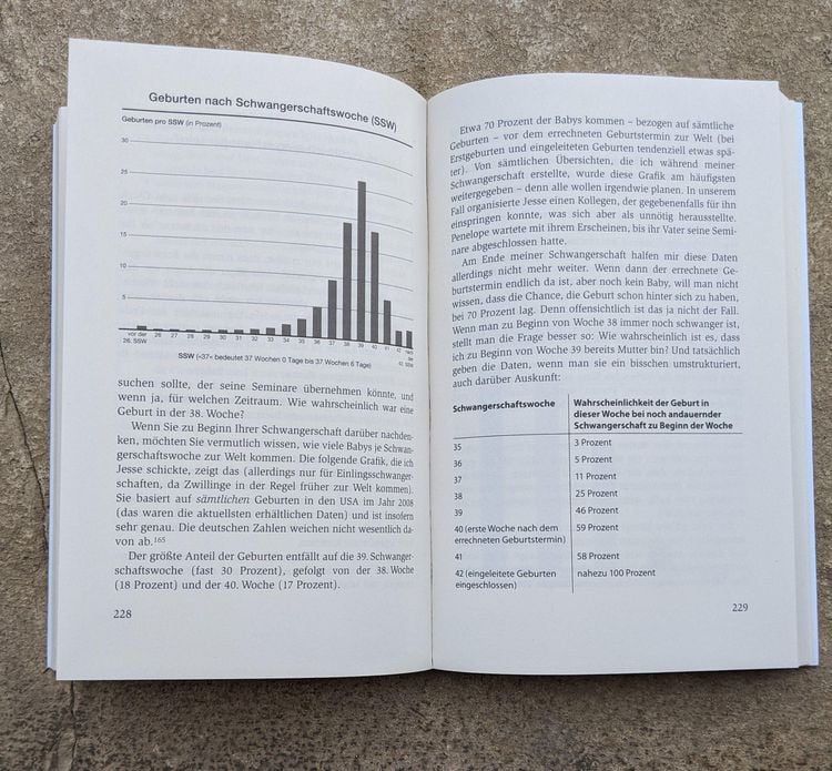 Produktbild: Das einzig wahre Schwangerschafts-Handbuch