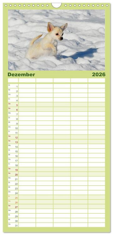 Produktbild: Familienplaner 2026 - Welpen 2026 mit 5 Spalten (Wandkalender, 21 x 45 cm) CALVENDO
