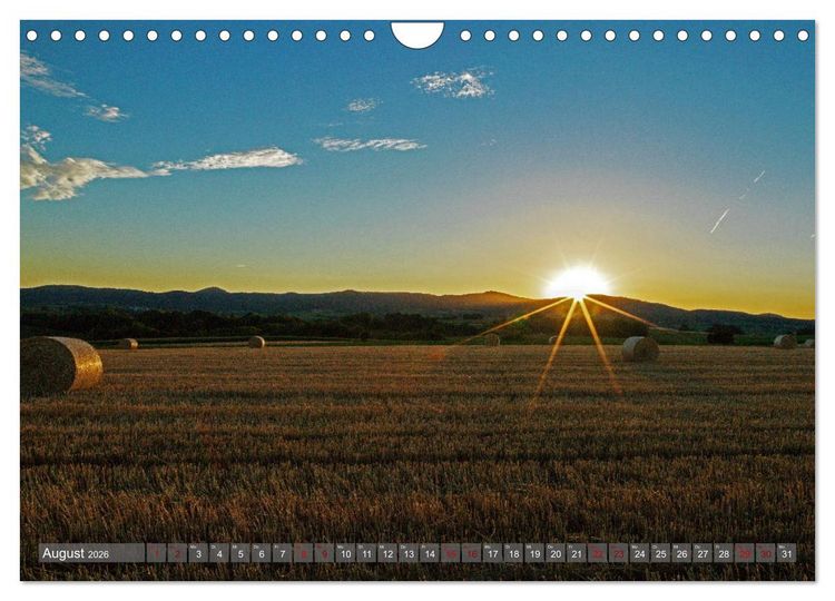 Produktbild: Weinland Pfalz - Region S&uuml;dliche Weinstra&szlig;e (Wandkalender 2026 DIN A4 quer), CALVENDO Monatskalender