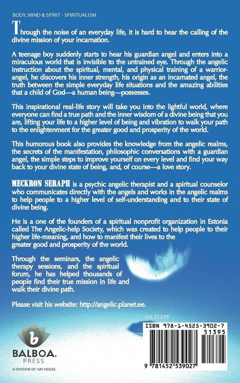 Produktbild: The Awakening of a Warrior-Angel