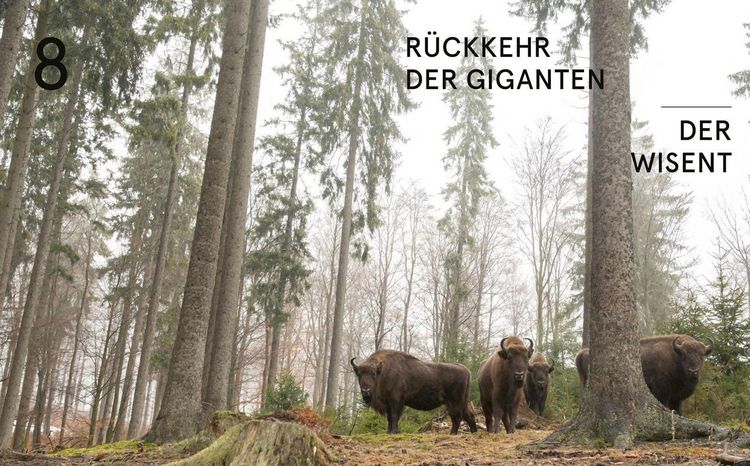 Produktbild: Deutschlands letzte Paradiese