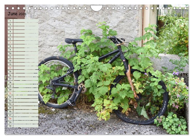 Produktbild: Abandoned Provence (Wall Calendar 2026 DIN A4 landscape), CALVENDO 12 Month Wall Calendar