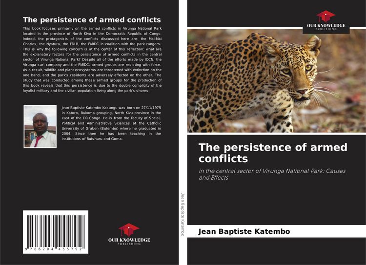 Produktbild: The persistence of armed conflicts