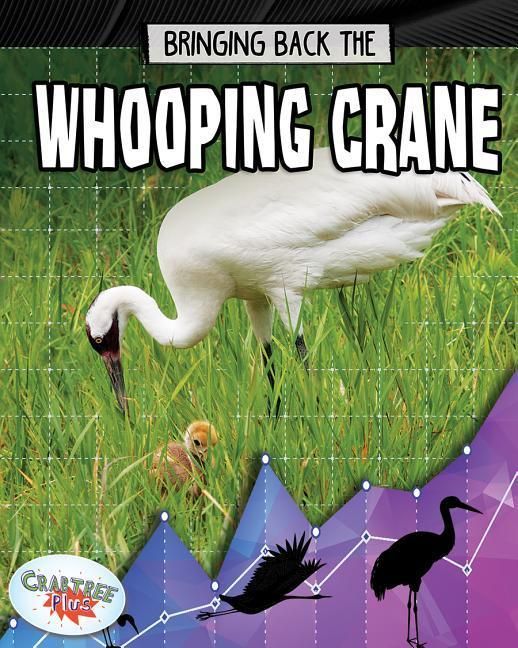 Produktbild: Bringing Back the Whooping Crane
