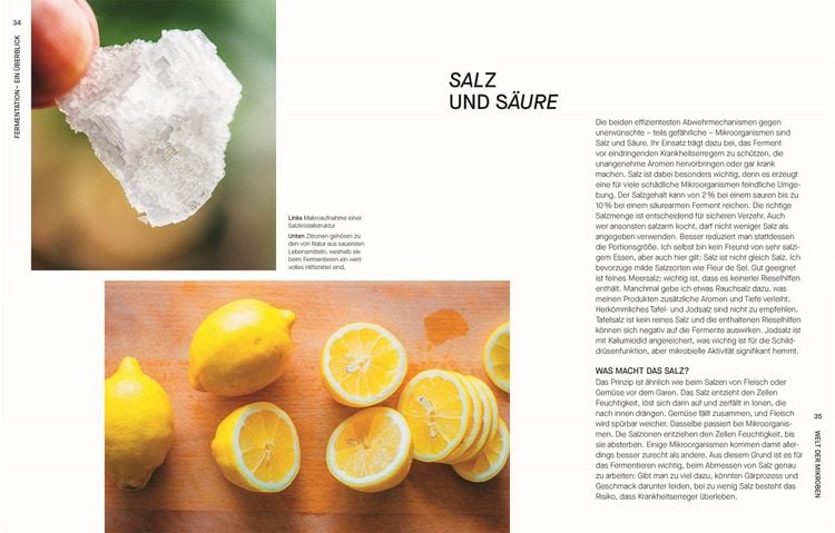 Produktbild: Fermentieren. Rezepte und Techniken f&uuml;r Geschmack, den man nicht kaufen kann