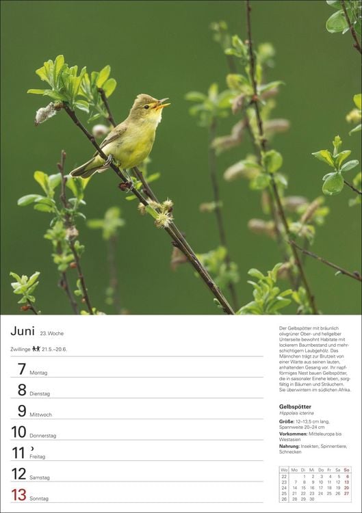 Produktbild: Heimische V&ouml;gel Wochenplaner 2027 - 53 faszinierende Fotografien