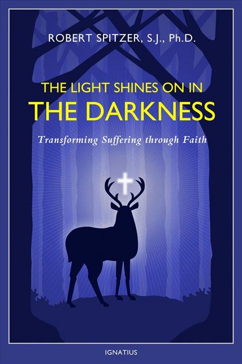 Produktbild: The Light Shines on in the Darkness