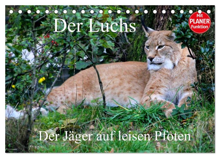 Produktbild: Der Luchs - Der J&auml;ger auf leisen Pfoten (Tischkalender 2026 DIN A5 quer), CALVENDO Monatskalender