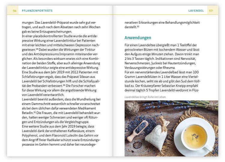Produktbild: Heilsame K&uuml;chenkr&auml;uter