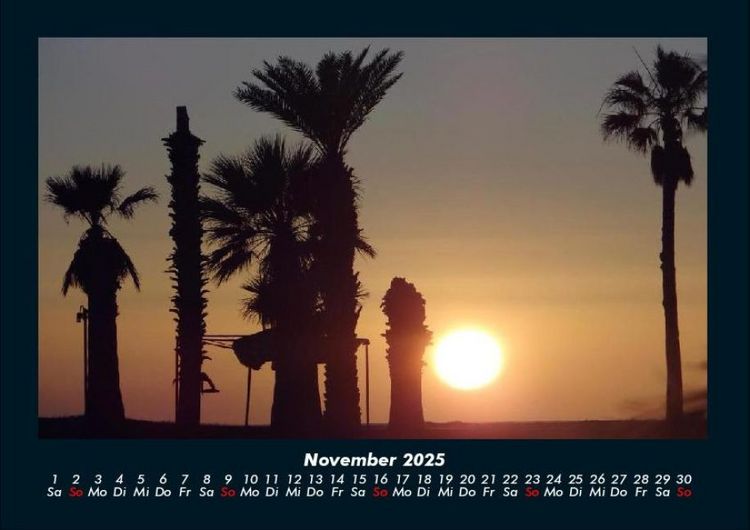 Produktbild: Palmentraum 2025 Fotokalender DIN A4