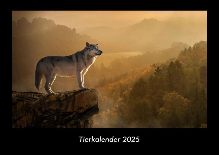 Produktbild: Tierkalender 2025 Fotokalender DIN A3