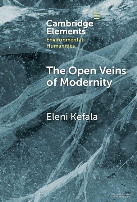 Produktbild: The Open Veins of Modernity