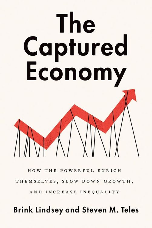 Produktbild: The Captured Economy