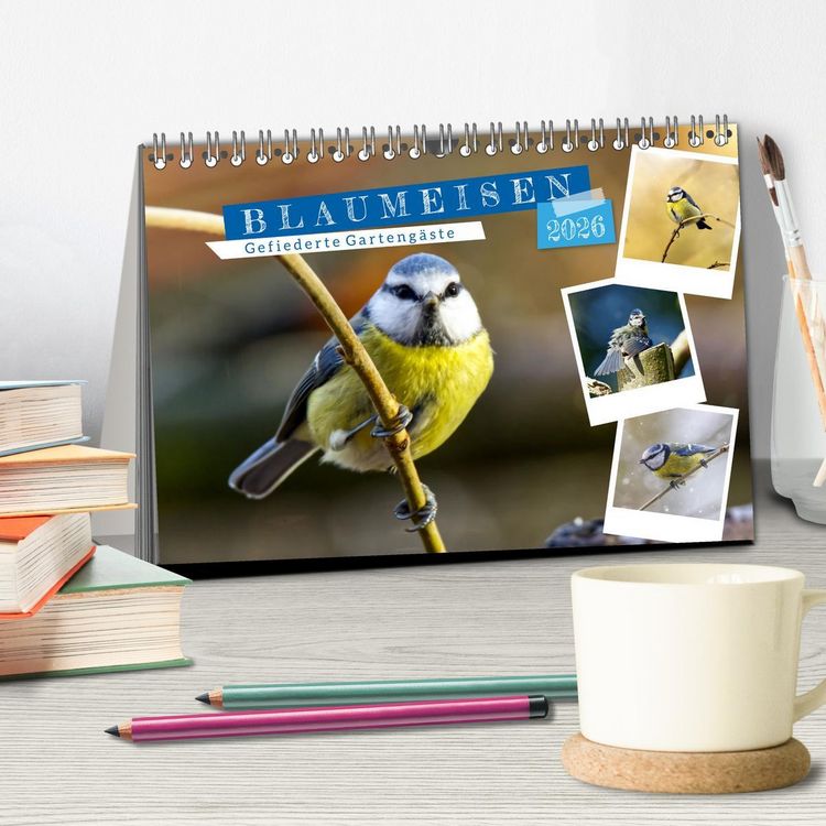 Produktbild: Gefiederte Garteng&auml;ste, Blaumeisen (Tischkalender 2026 DIN A5 quer), CALVENDO Monatskalender