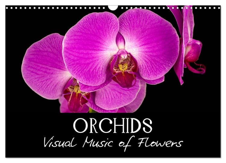 Produktbild: Orchids (Wall Calendar 2026 DIN A3 landscape), CALVENDO 12 Month Wall Calendar