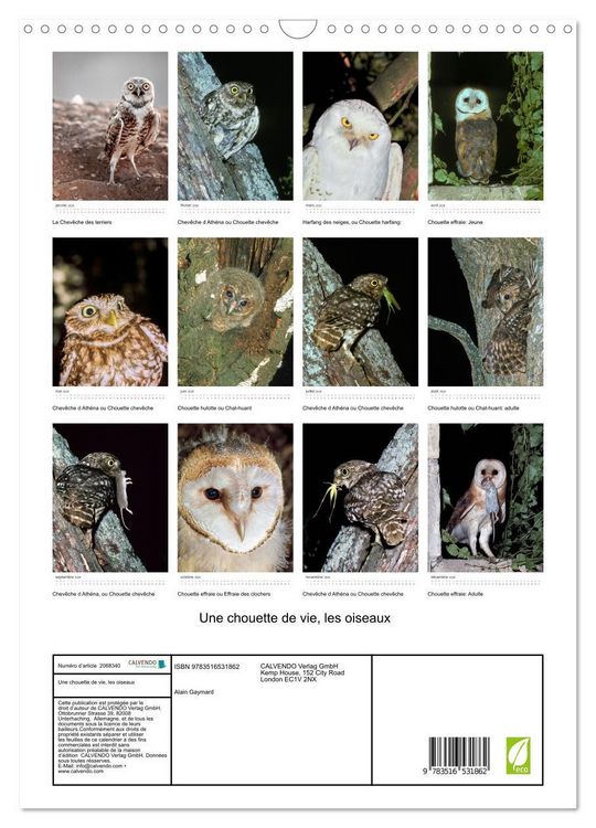 Produktbild: Une chouette de vie, les oiseaux (Calendrier mural 2026 DIN A3 horizontal), CALVENDO calendrier mensuel