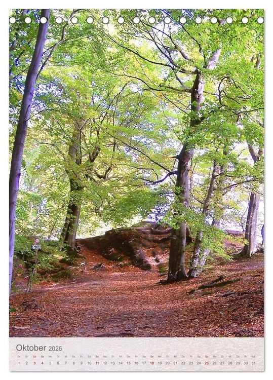 Produktbild: Im Nationalpark Jasmund - Naturwunder auf der Ostseeinsel R&uuml;gen (Tischkalender 2026 DIN A5 hoch), CALVENDO Monatskalender