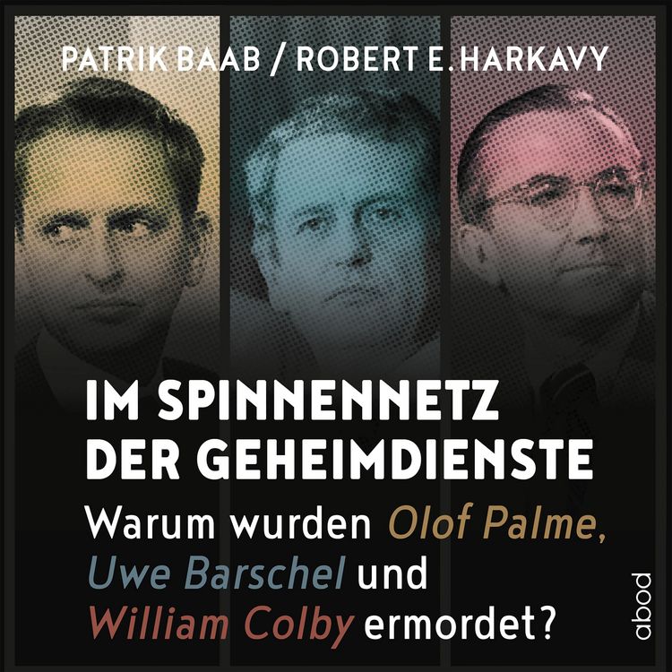 Produktbild: Im Spinnennetz der Geheimdienste
