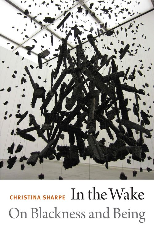 Produktbild: In the Wake