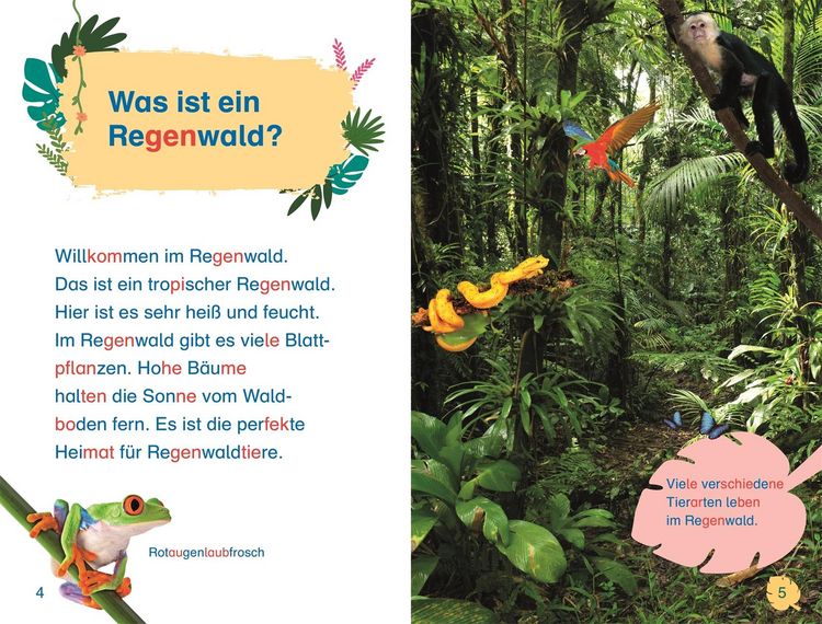 Produktbild: SUPERLESER! Kennenlern-Paket (8 B&auml;nde)