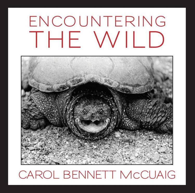Produktbild: Encountering the Wild