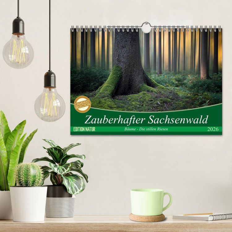 Produktbild: Zauberhafter Sachsenwald (Wandkalender 2026 DIN A4 quer), CALVENDO Monatskalender