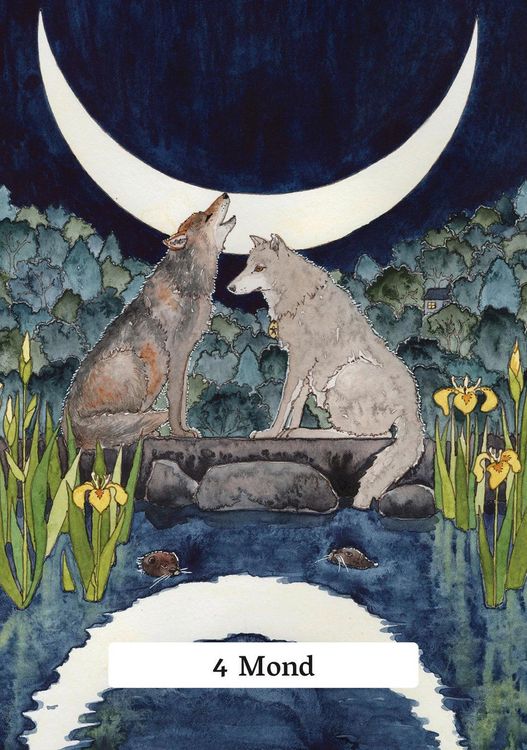 Produktbild: Das Tarot der Hexenweisheit
