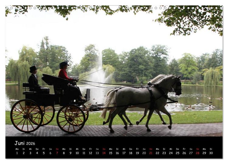 Produktbild: CIAT - Historischer Fahrsport in Celle (Wandkalender 2026 DIN A3 quer), CALVENDO Monatskalender