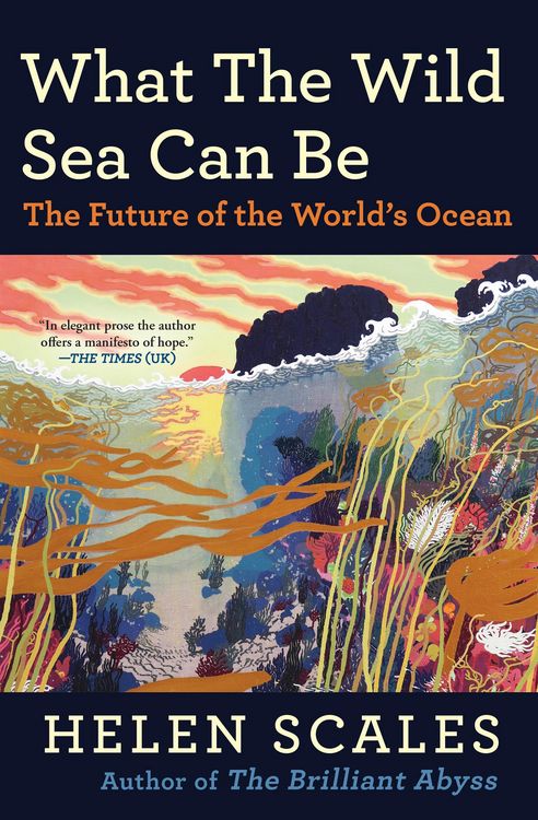 Produktbild: What the Wild Sea Can Be