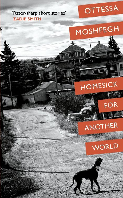 Produktbild: Homesick For Another World