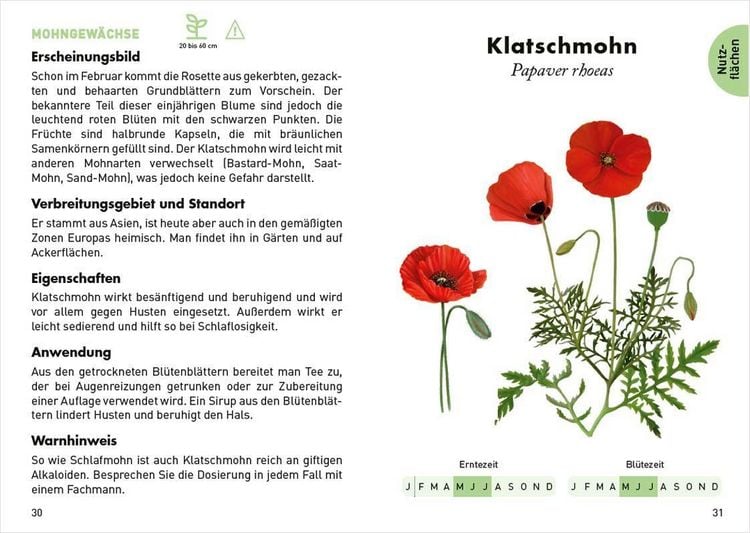 Produktbild: Anaconda Taschenf&uuml;hrer Heilpflanzen. 70 Arten entdecken und bestimmen