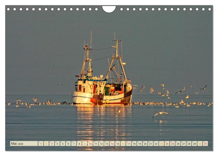 Produktbild: Maritime Augenblicke - Fischkutter (Wandkalender 2026 DIN A4 quer), CALVENDO Monatskalender