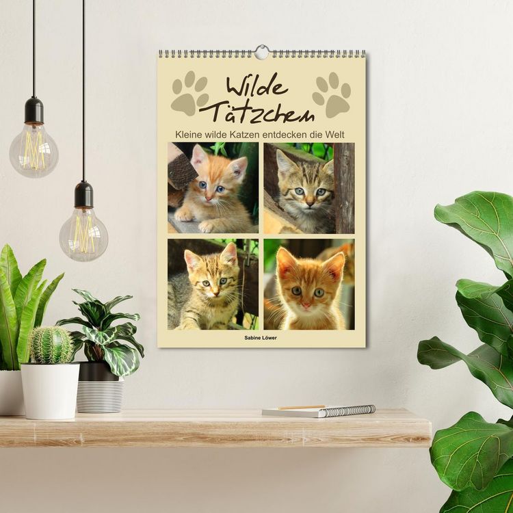 Produktbild: Wilde T&auml;tzchen, kleine wilde Katzen entdecken die Welt (Wandkalender 2026 DIN A3 hoch), CALVENDO Monatskalender