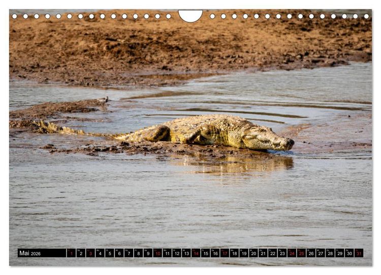 Produktbild: Sambia "Das wirkliche Afrika" (Wandkalender 2026 DIN A4 quer), CALVENDO Monatskalender