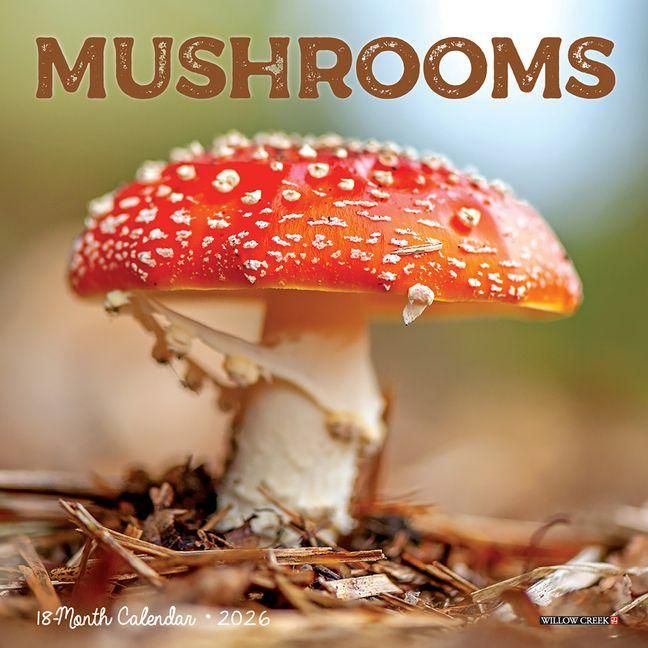 Produktbild: Mushrooms 2026 Mini Wall Calendar