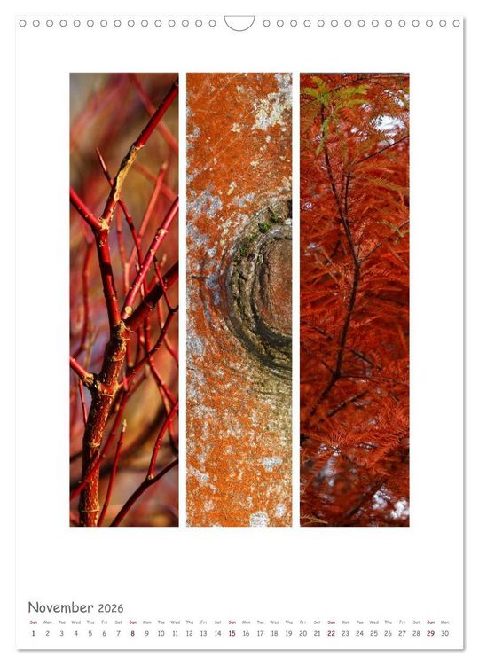 Produktbild: Colours of Nature - Triptycha (Wall Calendar 2026 DIN A3 portrait), CALVENDO 12 Month Wall Calendar