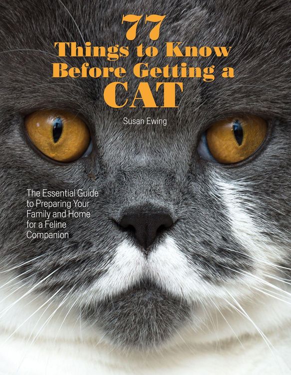 Produktbild: 77 Things to Know Before Getting a Cat