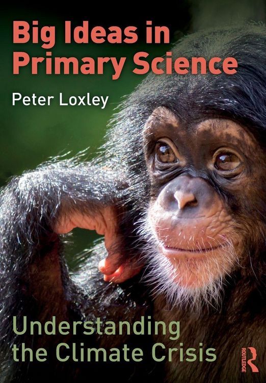 Produktbild: Big Ideas in Primary Science