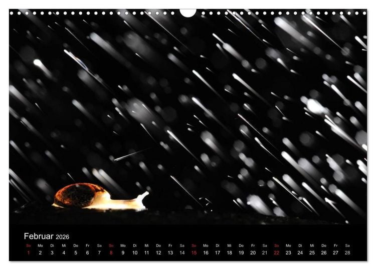 Produktbild: WILD - Tierkalender 2026 (Wandkalender 2026 DIN A3 quer), CALVENDO Monatskalender