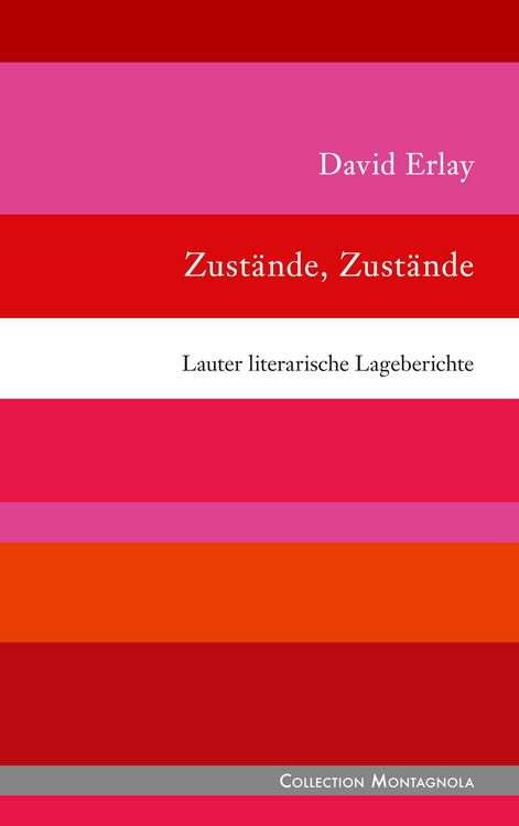 Bild vom Artikel Zustände, Zustände vom Autor David Erlay