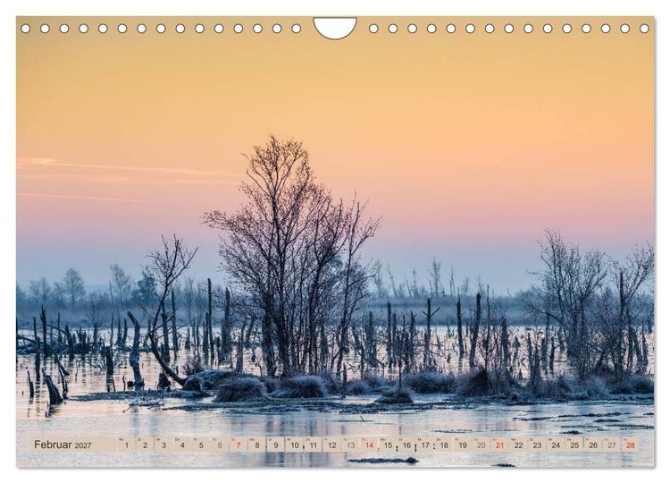 Produktbild: Deutschlands Moore (Wandkalender 2027 DIN A4 quer), CALVENDO Monatskalender