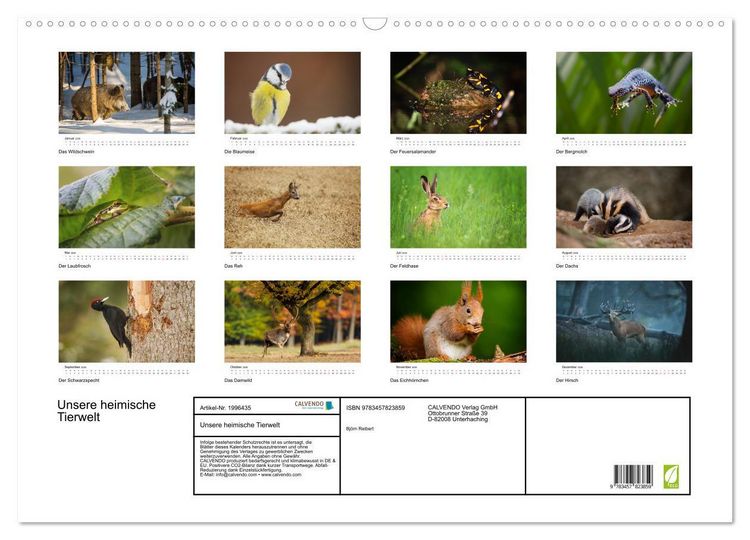 Produktbild: Unsere heimische Tierwelt (Wandkalender 2026 DIN A2 quer), CALVENDO Monatskalender