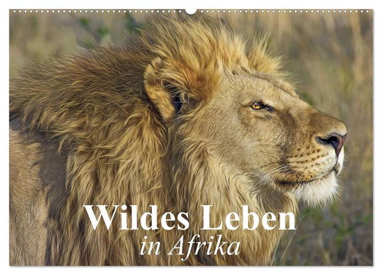 Produktbild: Wildes Leben in Afrika (Wandkalender 2026 DIN A2 quer), CALVENDO Monatskalender