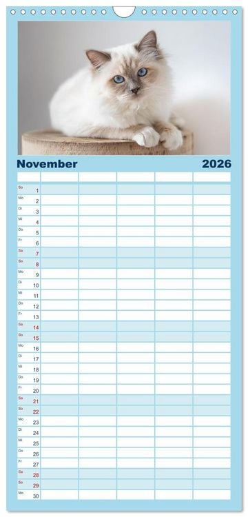 Produktbild: Familienplaner 2026 - Heilige Birma Katzen Kalender mit 5 Spalten (Wandkalender, 21 x 45 cm) CALVENDO