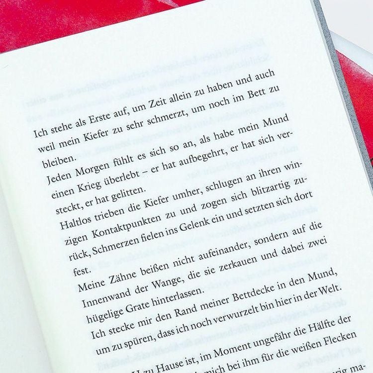Produktbild: Pathemata. Die Geschichte meines Mundes