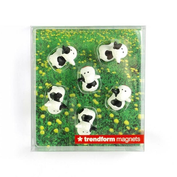 Produktbild: Magnete COW 6er Set