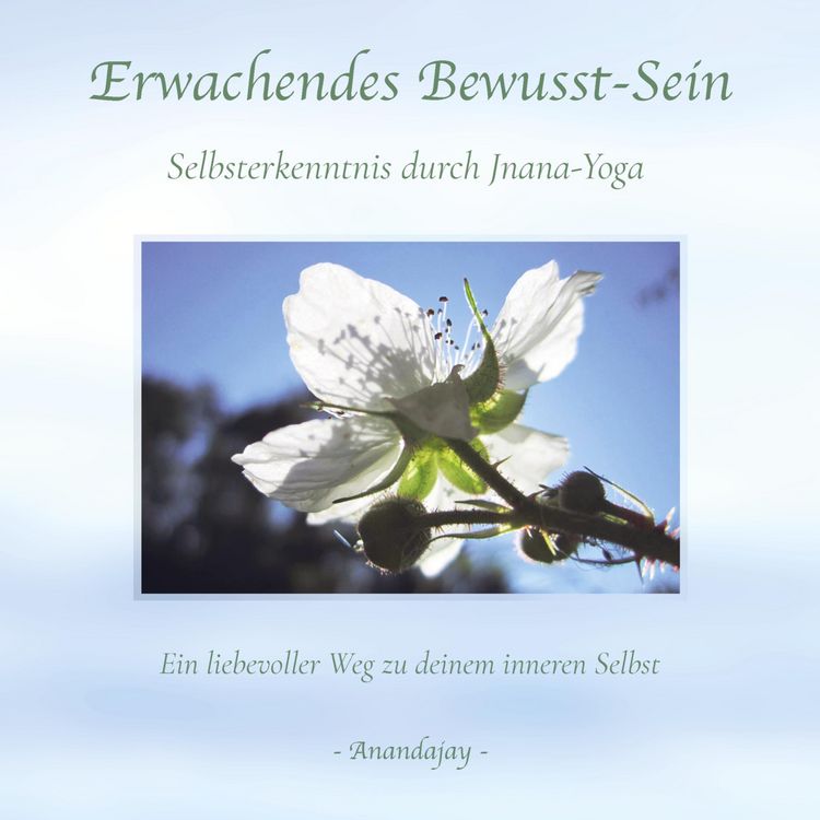 Produktbild: Erwachendes Bewusst-Sein - Selbsterkenntnis durch Jnana-Yoga